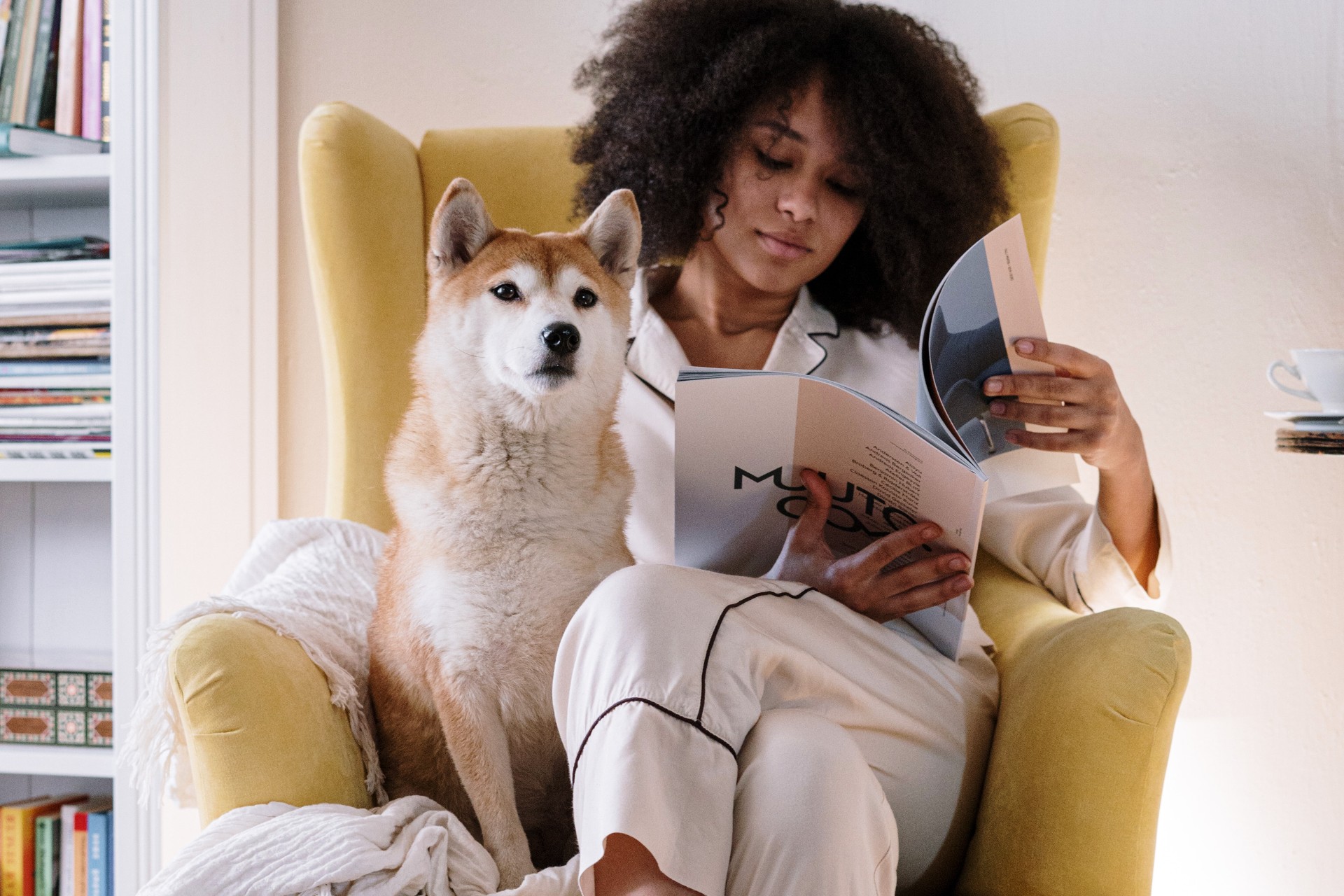 Lifestyle publications have to walk a fine line between addressing a specific niche and having widespread appeal. Here are our top 15 picks.